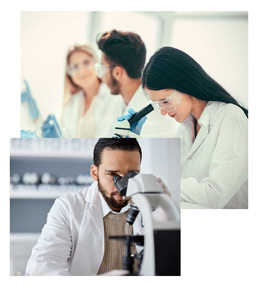 immagine ricerca 1 Qualità e sicurezza