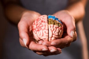Declino cognitivo e prevenzione: Giornata Mondiale del Cervello 2026